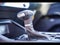 2026 Kia K5 GT-Line Premium Package