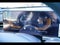 2026 Kia K5 GT-Line Premium Package