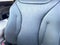 2026 Kia Carnival MPV Hybrid LXS